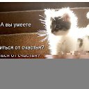 ���� �������, �����������, 62 ���� - ��������� 9 ���� 2014 � ������ �� ������� � ������)))�