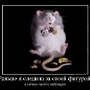 ���� �������, ������ - ��������� 29 ������ 2014 � ������ ������ ���� � ��������