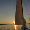 ���� ����������, ���������, 49 ��� - ��������� 13 ��� 2014 � ������ ������ ��������