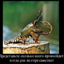 ���� ����, ������, 42 ���� - ��������� 29 ��� 2014 � ������ ������ ��������