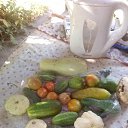 ���� ��������, ������ - ��������� 4 ������� 2014 � ������ ������ ��������