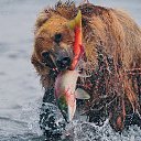 ���� ������, ���������, 53 ���� - ��������� 24 ��� 2014 � ������ ���� ����������