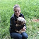 ���� ����, �����, 34 ���� - ��������� 29 ��� 2014 � ������ ���� ����������