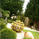 ���� �����, ������� - ��������� 23 ����� 2014 � ������ ���� ����������