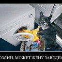 ���� ������, �������, 37 ��� - ��������� 1 ������� 2014 � ������ ���� ����������
