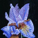 ���� Oleg, ������, 87 ��� - ��������� 15 ���� 2014 � ������ �Paints�
