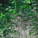 ���� �����, �����-��������� - ��������� 21 ���� 2014 � ������ ���� ������� ����