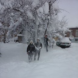 ���� �����, ������, 59 ��� - ��������� 16 ������� 2014