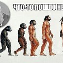  ,  -  11  2014    