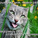 ���� �����, �������, 52 ���� - ��������� 9 ���� 2014 � ������ ������ ��������