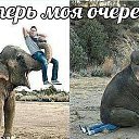 ���� �������, ��������, 50 ��� - ��������� 2 ������� 2014 � ������ ������ ��������