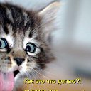 ���� ������, �����-���������, 44 ���� - ��������� 30 ����� 2014 � ������ ���� ����������