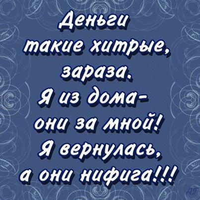 No Name Alex® - 5  2014  11:15