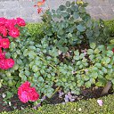 ���� �����, ������ �������� - ��������� 28 ���� 2014 � ������ �2014 ��