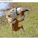 ���� Dt, ����, 50 ��� - ��������� 24 ��� 2014 � ������ ������ ��������