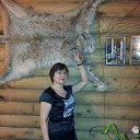 ���� �����, ���������, 68 ��� - ��������� 16 ����� 2014 � ������ ���� ����������