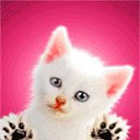 ���� Tarik, ���� - ��������� 14 ������� 2014 � ������ ���� ����������