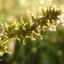 ���� �����, ������ �������� - ��������� 23 ����� 2014 � ������ �������� ������� ��������