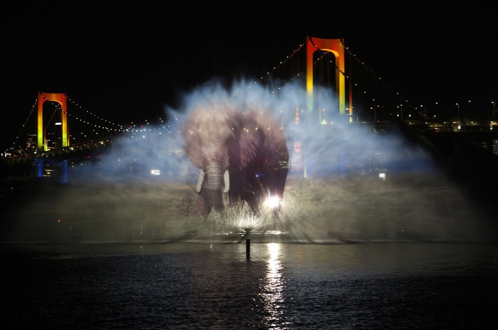 Odaiba water illumination      .   ,   ... - 3