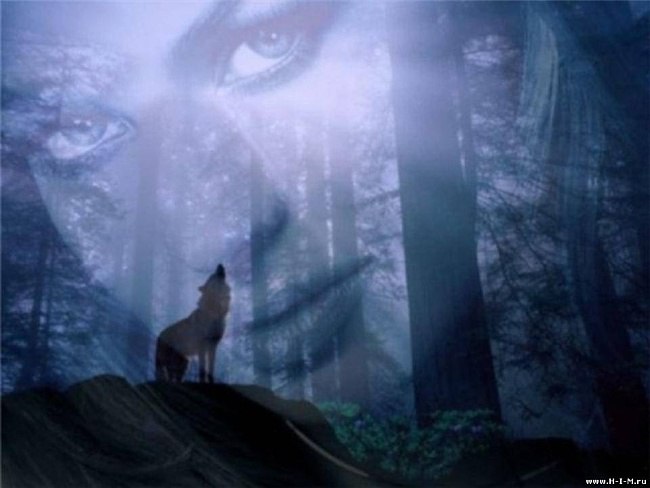   , ,      ,   ,      ...