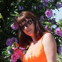 ���� �����, ����������, 42 ���� - ��������� 11 ���� 2014 � ������ ���� ����������