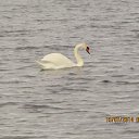 ���� Isergei, ��� - ��������� 20 ���� 2014 � ������ �������