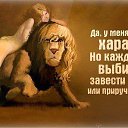 ���� ������������, ���� - ��������� 17 ��� 2014 � ������ ������ ��������