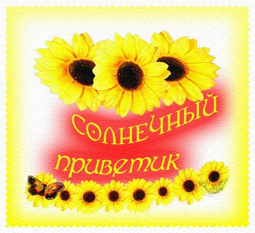  ( ) - 7  2014  09:03