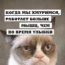 ���� �����, ���������� - ��������� 3 ���� 2014 � ������ ������ ��������