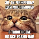 ���� ����������, �����������, 34 ���� - ��������� 22 ����� 2014 � ������ ������ ��������