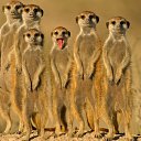 ���� ����, ������, 43 ���� - ��������� 27 ���� 2014 � ������ ������ ��������