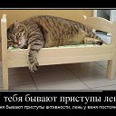 ���� �������_�����, �������, 48 ��� - ��������� 8 ������ 2014 � ������ ������ ��������