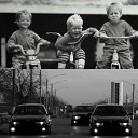 ���� ������, ���������, 41 ��� - ��������� 31 ���� 2014 � ������ ���� ����������