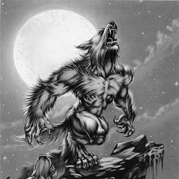 Werewolf, --, 36 