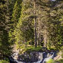 ���� �������, ��������, 42 ���� - ��������� 21 ���� 2014 � ������ ���� ����������