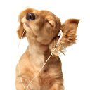 ���� �**, �������, 60 ��� - ��������� 4 ���� 2014 � ������ ���� ����������