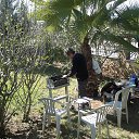  Dimitri, , 62  -  16  2014   ADANA 2014 MART