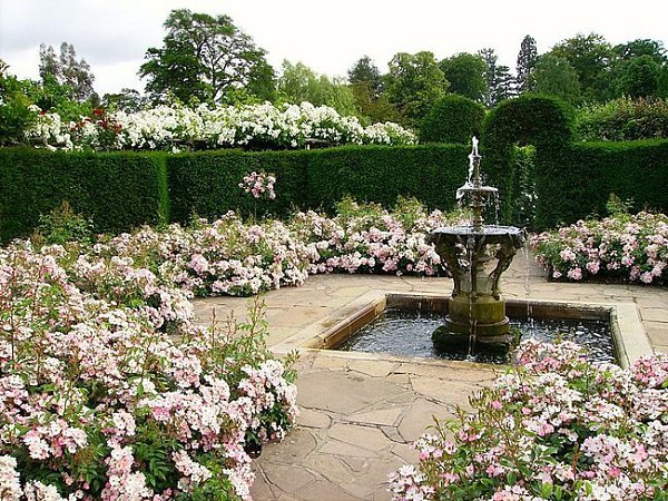 ���� - 6 ��� 2014 � 20:07