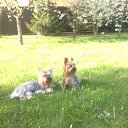 ���� ��������, ������, 72 ���� - ��������� 17 ���� 2014 � ������ ���� ����������