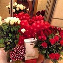 ���� ��������, �����������, 35 ��� - ��������� 15 ����� 2014 � ������ ���� ����������