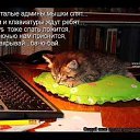 ���� ������, �����-��������� - ��������� 16 ������� 2014 � ������ ������ ��������