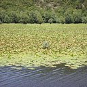 ���� �������, ������, 55 ��� - ��������� 26 ���� 2014 � ������ �Montenegro. ���� 2014�
