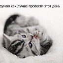 ���� Natalia, ������ - ��������� 22 ���� 2014 � ������ ������ ��������