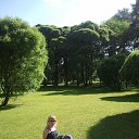 ���� ������, ����� - ��������� 8 ���� 2014 � ������ ���� ����������