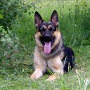 ���� ���������, ������������, 44 ���� - ��������� 30 ��� 2014 � ������ ������ ��������