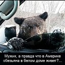 ���� ��������, ����� �� ����, 68 ��� - ��������� 29 ��� 2014 � ������ ������ ��������
