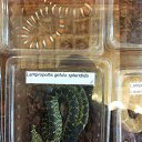 ���� ������, ������, 51 ��� - ��������� 24 ������ 2014 � ������ �����������-7�