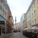 ������ � ������ ������ �� ������� ����������� � �������� ���� 2014�