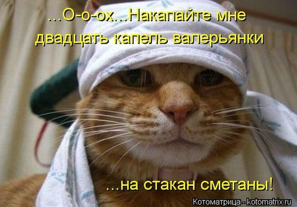  - 10  2014  20:11