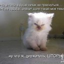 ���� �_�_�_�_�, ������-��-����, 43 ���� - ��������� 15 ��� 2014 � ������ ������ ��������